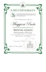 Sscanner@ce18031510150-e1521195185858-194x300