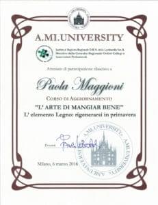 XC560-F63D1743-231x300