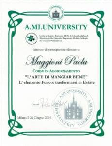 XC560-F63D1744-231x300