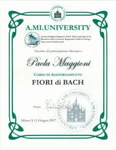 XC560-F63D1748-232x300